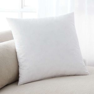 TWO 18" Crate & Barrel feather pillow inserts